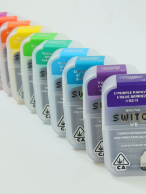 Boutiq V5 2g Disposable (Triple Chamber)